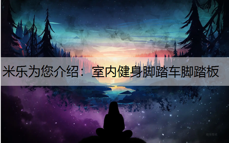 米乐为您介绍：室内健身脚踏车脚踏板